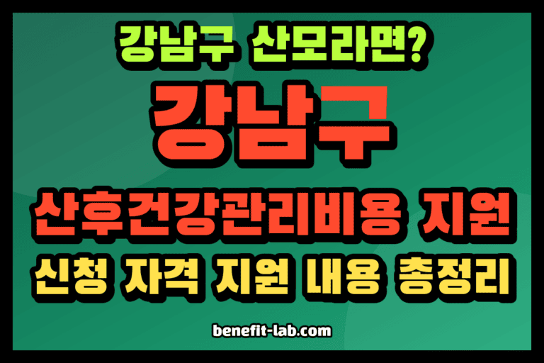 강남구 산후건강관리비용 지원 안내 이미지: 강남구 산모라면? 신청 자격 지원 내용 총정리