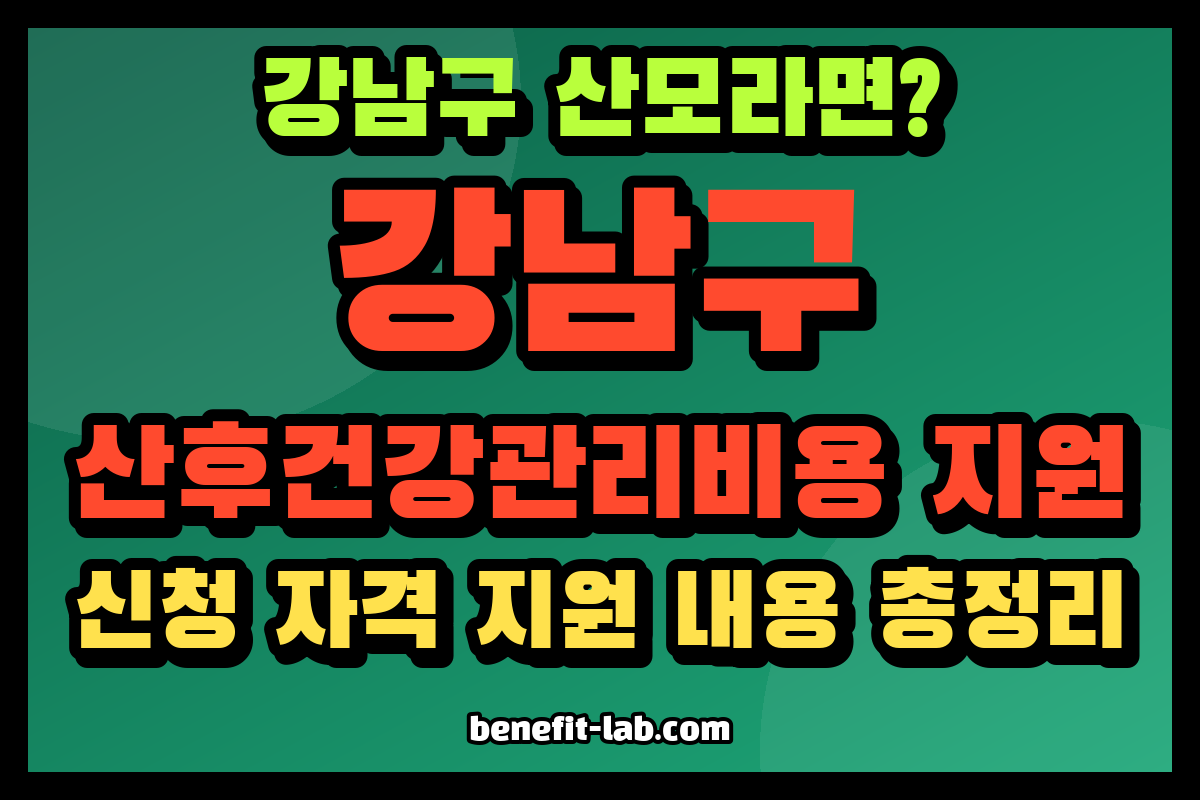 강남구 산후건강관리비용 지원 안내 이미지: 강남구 산모라면? 신청 자격 지원 내용 총정리